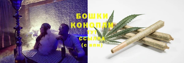 МДПВ Осинники
