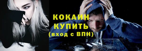 ПСИЛОЦИБИНОВЫЕ ГРИБЫ Осташков