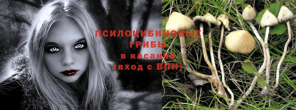 ПСИЛОЦИБИНОВЫЕ ГРИБЫ Осташков