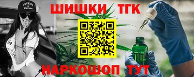 Альфа ПВП Камышлов