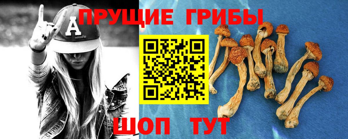 Галлюциногенные грибы Magic Shrooms Торжок