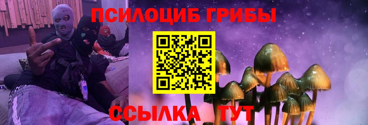 Галлюциногенные грибы мицелий  Вход с VPN  Торжок 